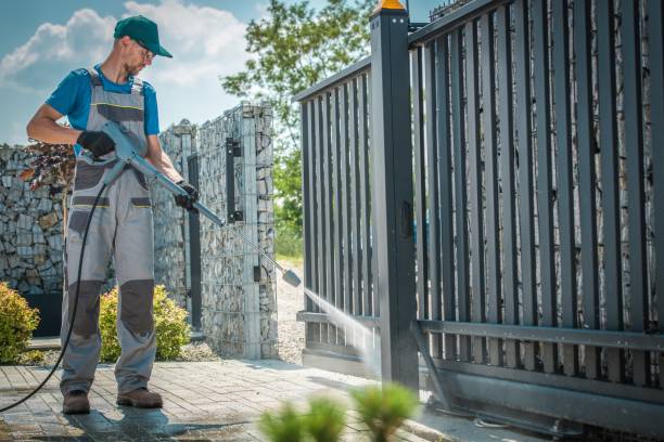 Best Solar Panel Cleaning  in Cowarts, AL