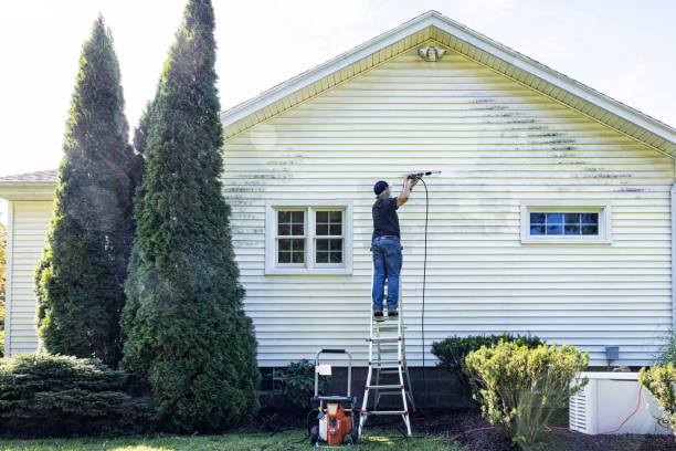 Professional Pressure Washing Services in Cowarts, AL